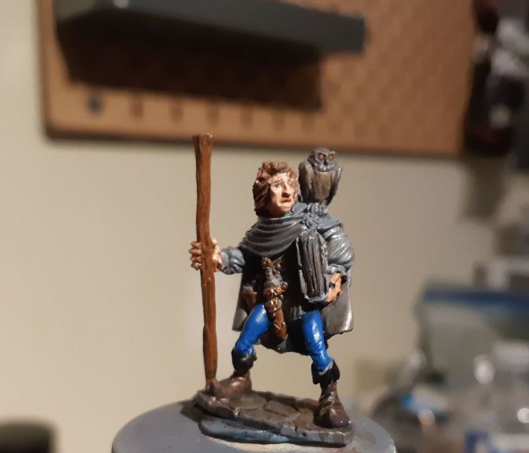 Iltheus, Young Mage Reaper miniatures